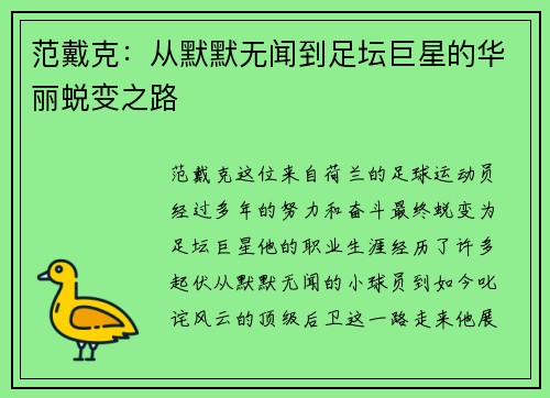 范戴克：从默默无闻到足坛巨星的华丽蜕变之路